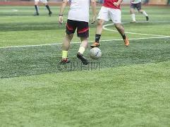 张晶亚冬会,磨砺成长,砥砺前行,问鼎娱乐,问鼎娱乐官网入口,问鼎娱乐官网首页,问鼎娱乐官网